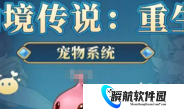 仙境传说重生宠物获取方法 仙境传说重生宠物怎么获取