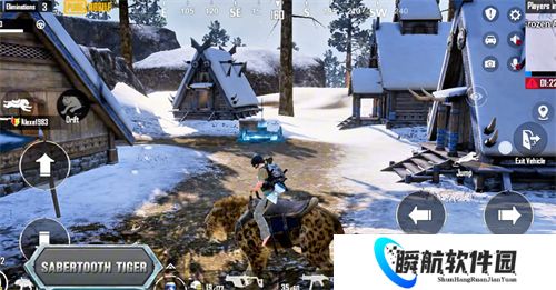 和平精英国际服