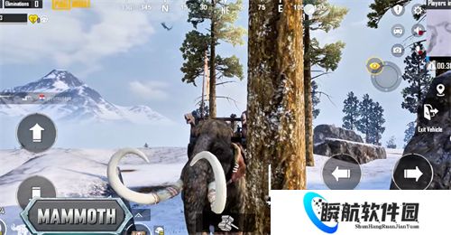 和平精英国际服