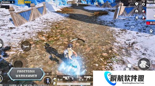 和平精英国际服