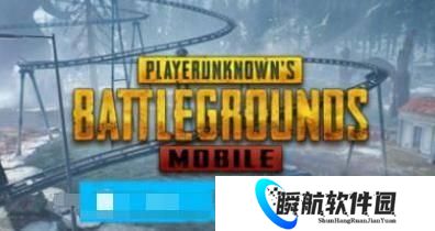 和平精英国际服手机版