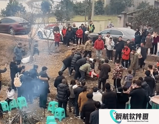 杀年猪爆火！一男子按猪被踢致截瘫：邀约者判赔52万