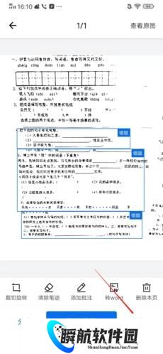 蜜蜂试卷免费版