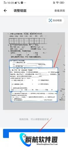 蜜蜂试卷免费版