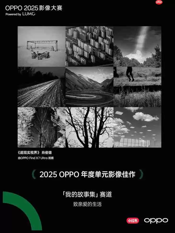 点亮感动时刻 OPPO 2025影像大赛获奖作品正式公布
