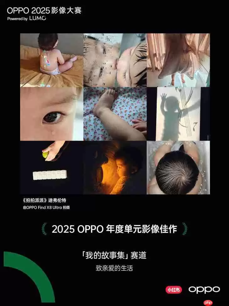 点亮感动时刻 OPPO 2025影像大赛获奖作品正式公布