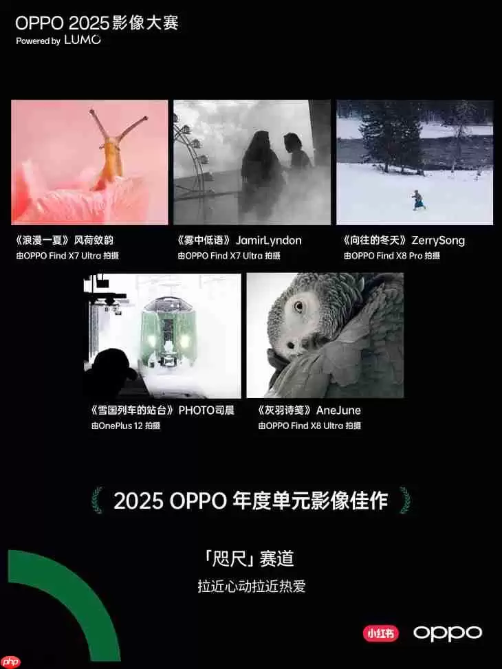 点亮感动时刻 OPPO 2025影像大赛获奖作品正式公布