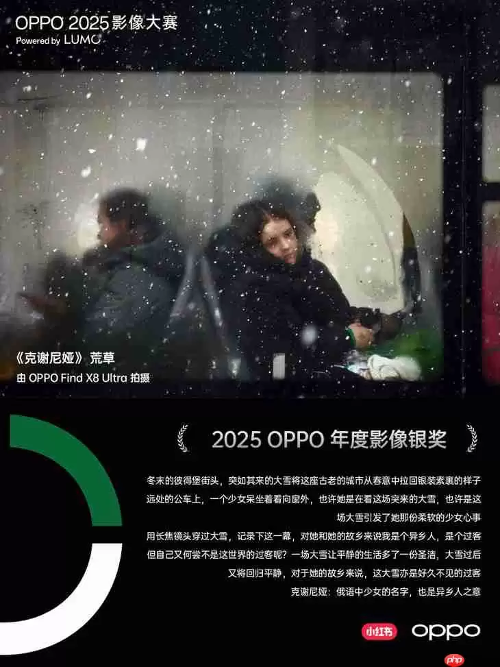 点亮感动时刻 OPPO 2025影像大赛获奖作品正式公布