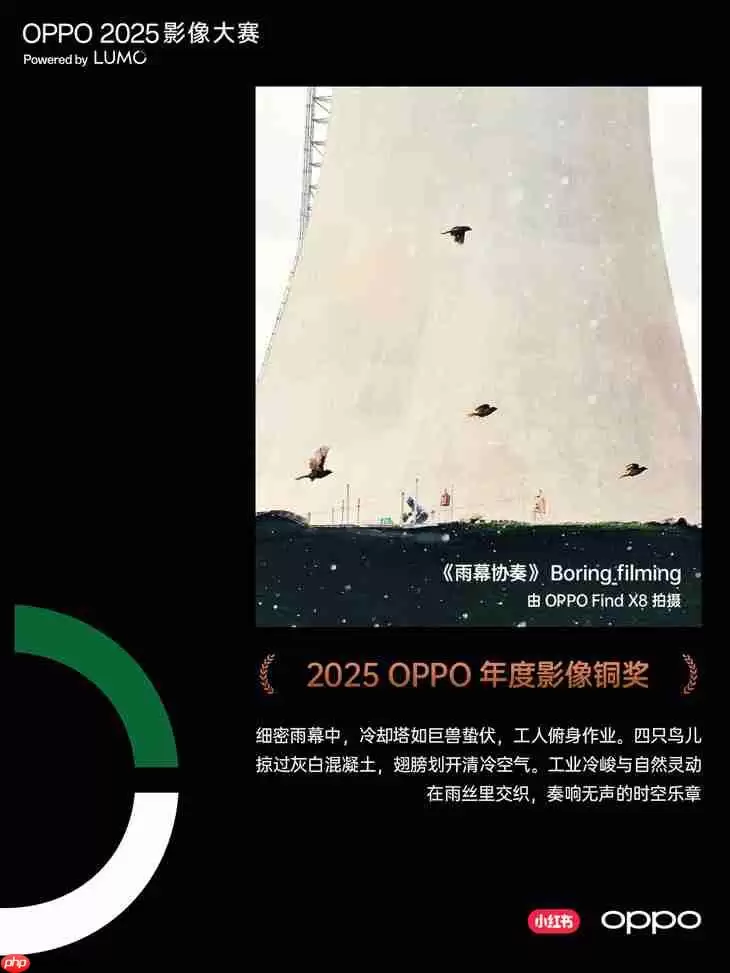 点亮感动时刻 OPPO 2025影像大赛获奖作品正式公布
