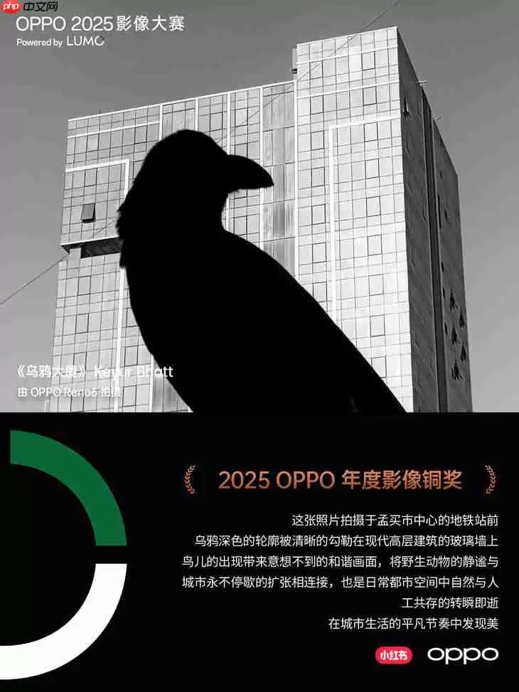 点亮感动时刻 OPPO 2025影像大赛获奖作品正式公布