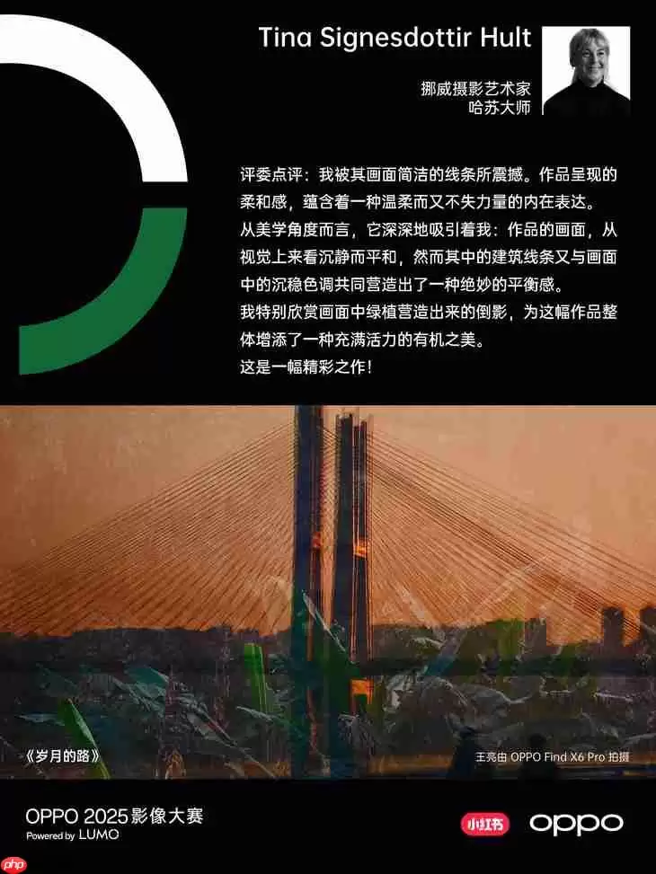 点亮感动时刻 OPPO 2025影像大赛获奖作品正式公布