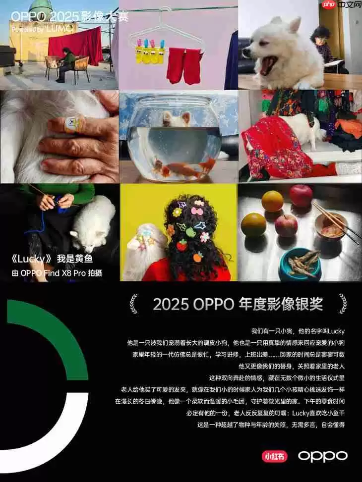 点亮感动时刻 OPPO 2025影像大赛获奖作品正式公布