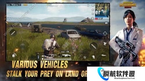 pubg低配版