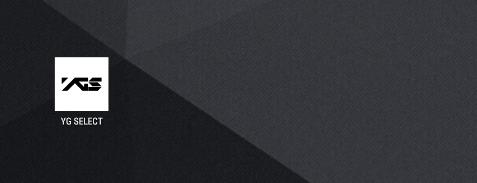 YG SELECT