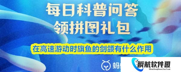 在高速游动时旗鱼的剑颌有什么作用