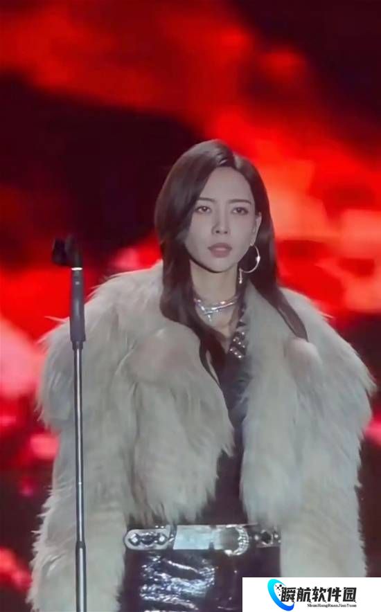 歌手于文文演唱会晕倒 被救护车紧急送医