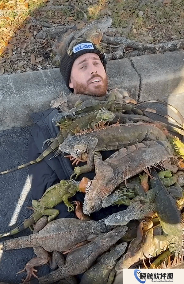 不养闲人 佛罗里达网红收集冻僵蜥蜴当毯子盖在身上