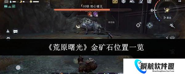 荒原曙光 金矿石在哪里介绍