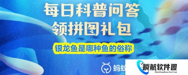 银龙鱼是哪种鱼的俗称