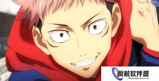 《咒术回战》未解之谜:虎杖悠仁到底娶了谁？