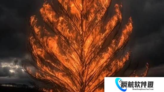 1200年古树燃烧近10小时终扑灭 当地回应：古树仍有救治希望