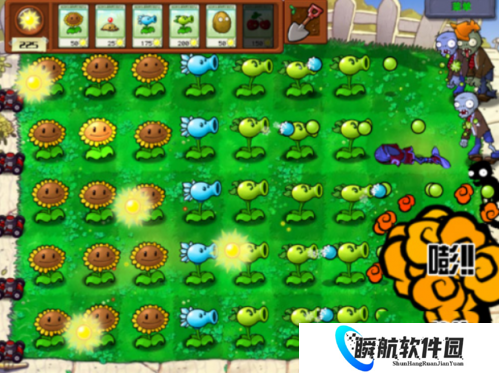 植物大战僵尸e版支线