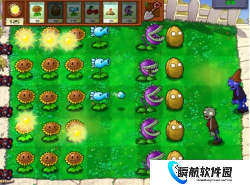 植物大战僵尸e版支线