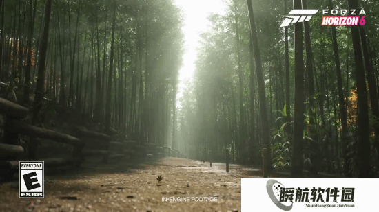 《极限竞速地平线6》环境展示：竹林樱花道环境绝美！
