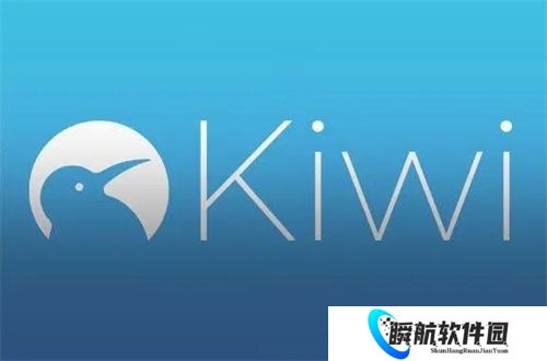 Kiwi浏览器
