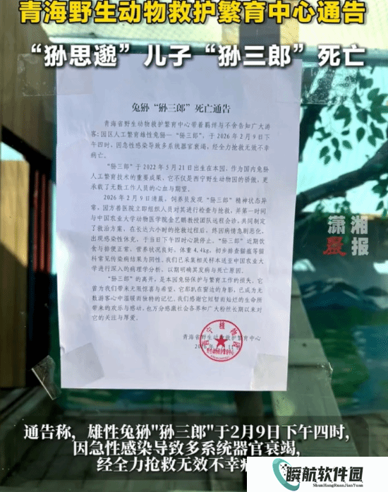 狲思邈老婆狲尚香、女儿狲大娘、儿子狲三郎 均已去世