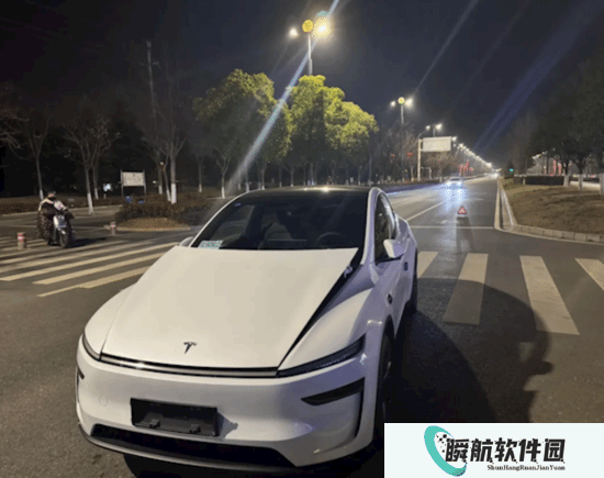 特斯拉Model Y提车不到5小时被狗“吓坏”！车主：修车花了1.7万