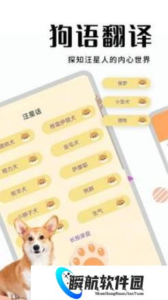 宠物翻译器