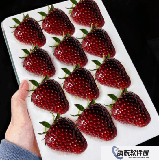 300元一斤的黑草莓走红 被誉为草莓届的“爱马仕”