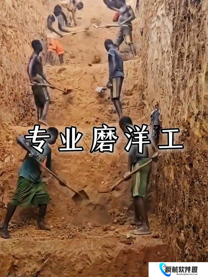 本站