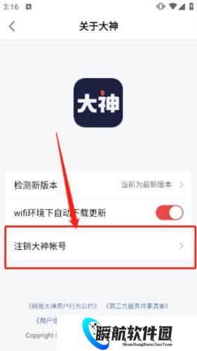 网易大神安装包