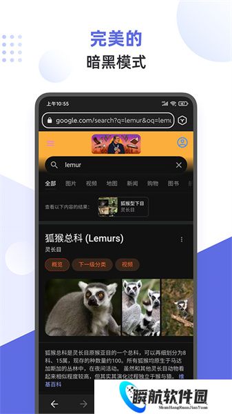 狐猴浏览器手机版