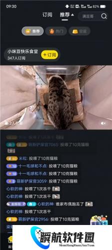 街猫