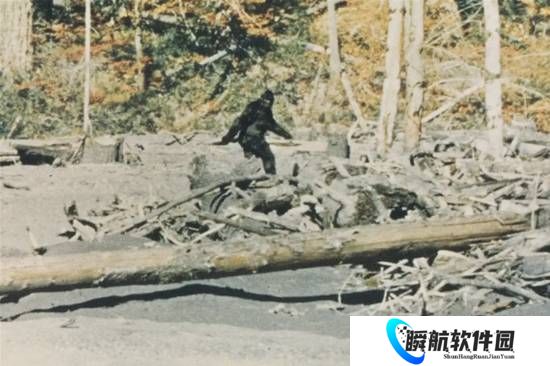 美国“大脚怪”是一场骗局 骗了影迷近60年