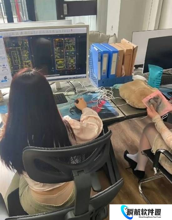 女子“入职”假装上班公司 自主创业月入七八万