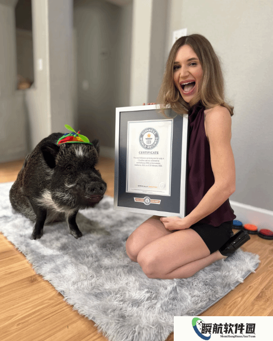 世界上粉丝最多的猪！凭110万关注获吉尼斯世界纪录