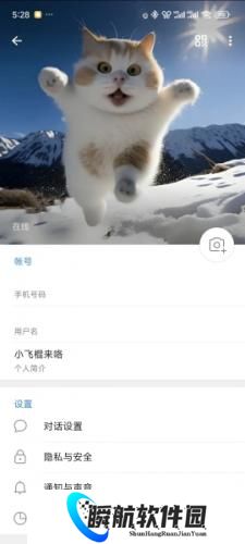 纸飞机中文官方版更改聊天室背景