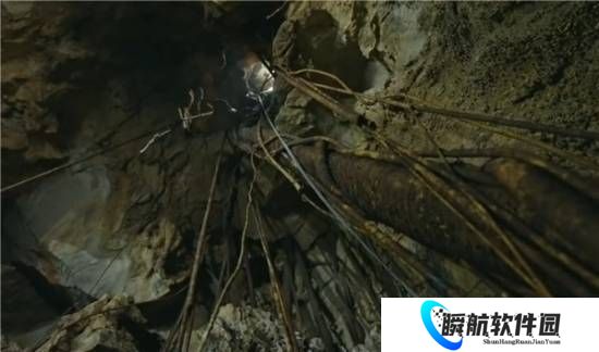 贵州溶洞发现“地下反向森林” 颠覆传统认知