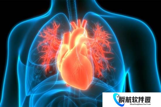 心源性猝死如何急救：记牢这四步