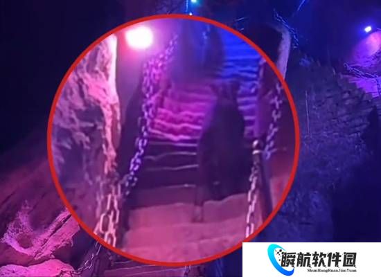 游客夜爬华山偶遇“神兽” 官方确认系国家二级保护动物中华鬣羚