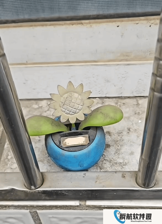 它一直在等你！男子返乡发现10年前的玩具仍在摇摆