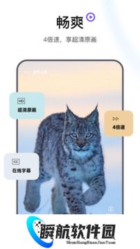 迅雷浏览器最新版