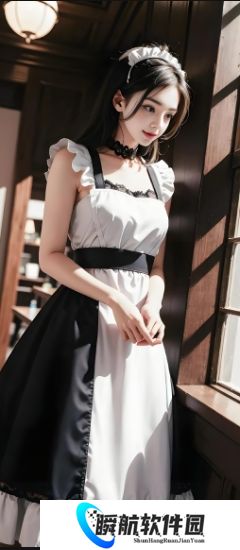 欧美VPS与Windows性能对比：选择最佳服务器的重要性
